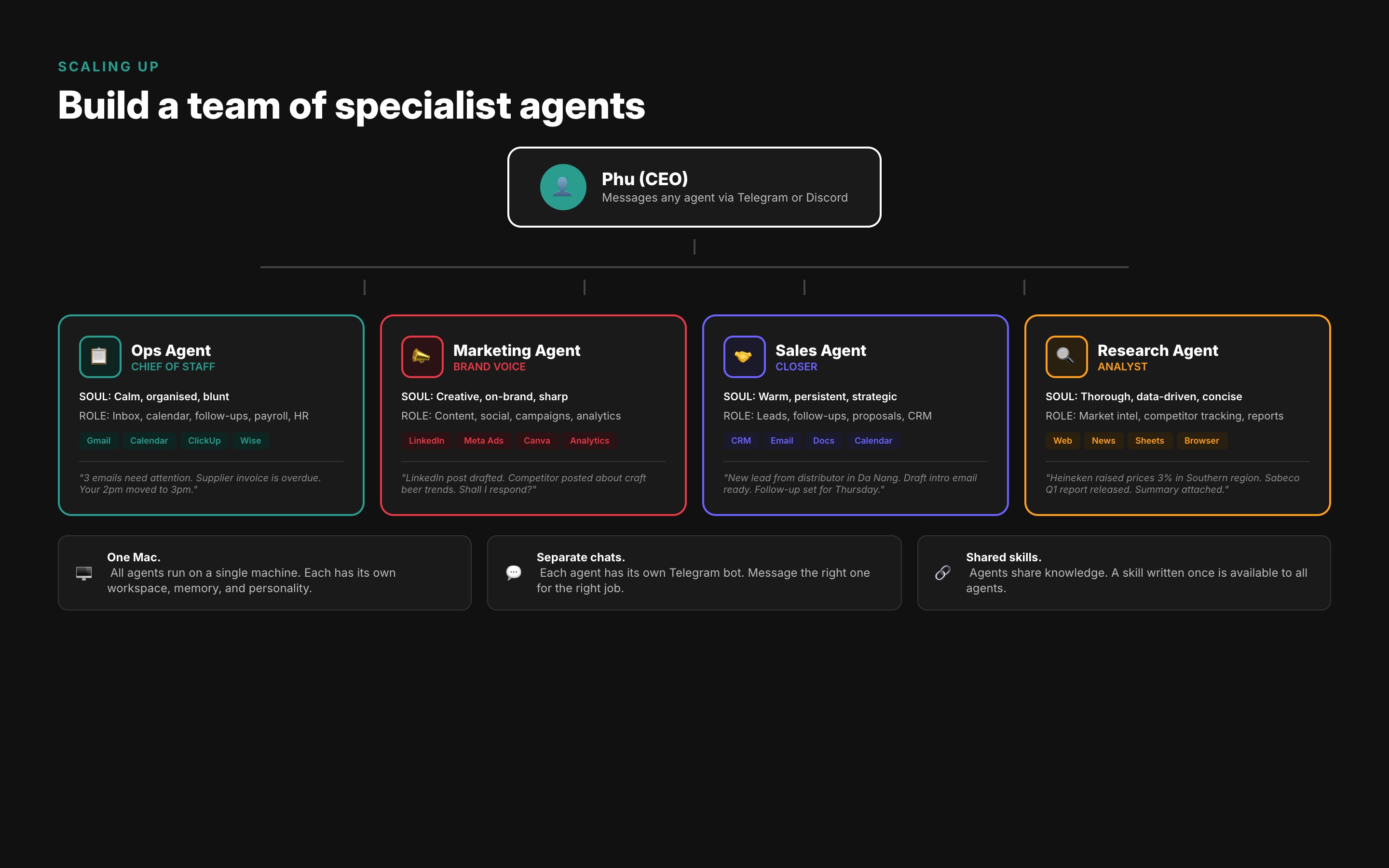 Agent Team